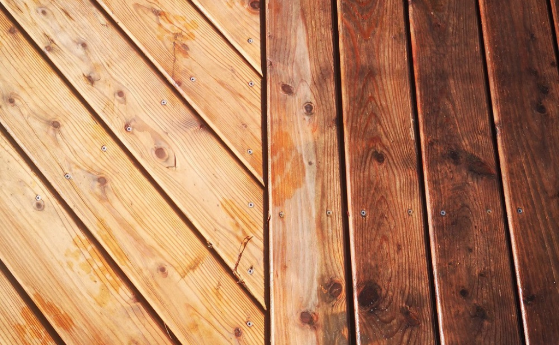 6 Showroom d'un paysagiste spécialisé dans l'aménagement des terrasses et jardins, avec une façade moderne en bois et en vitre et un jardin fleuri aménagé