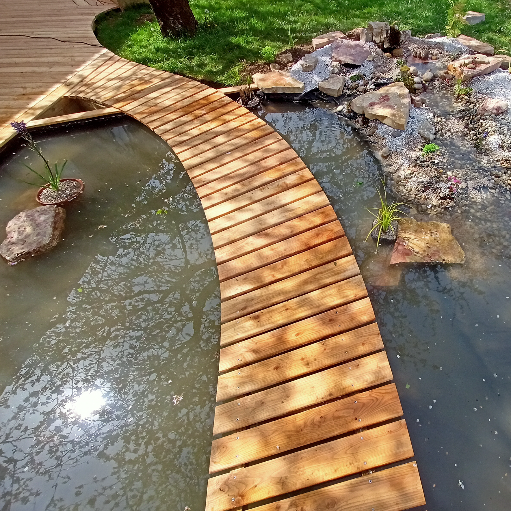 bassin passerelle